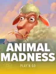 Animal Madness slot game