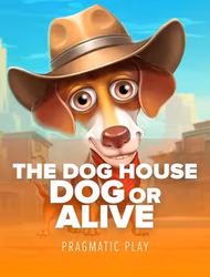 The Dog House Dogor Alive slot game